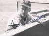 tedwilliams